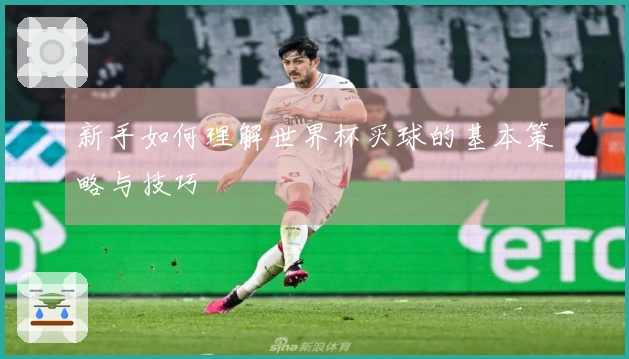 新手如何理解世界杯买球的基本策略与技巧