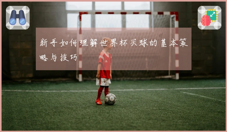 新手如何理解世界杯买球的基本策略与技巧
