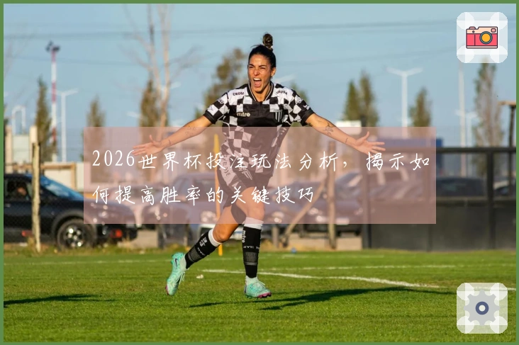 2026世界杯投注玩法分析，揭示如何提高胜率的关键技巧