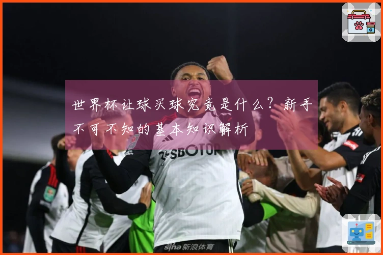 世界杯让球买球究竟是什么？新手不可不知的基本知识解析