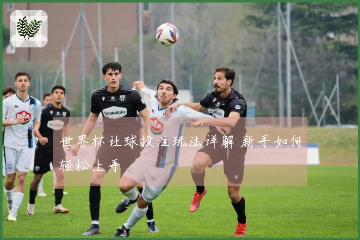 世界杯让球投注玩法详解 新手如何轻松上手