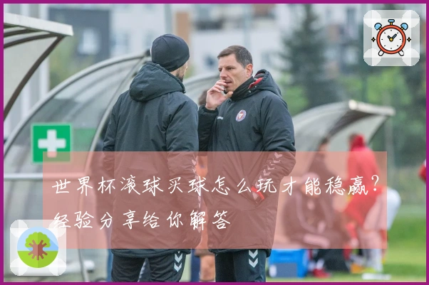 世界杯滚球买球怎么玩才能稳赢？经验分享给你解答