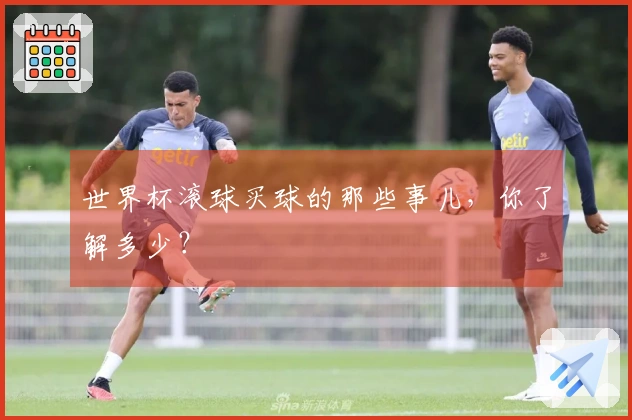 世界杯滚球买球的那些事儿，你了解多少？