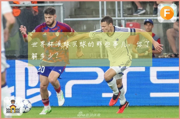 世界杯滚球买球的那些事儿，你了解多少？