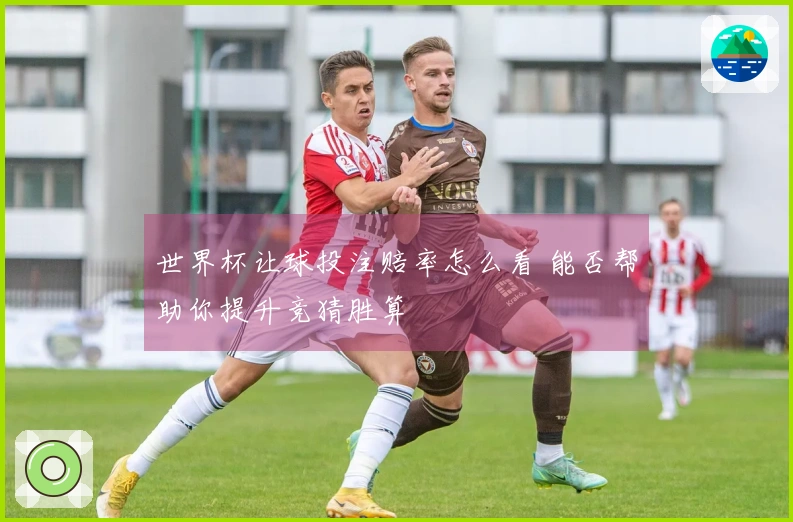世界杯让球投注赔率怎么看 能否帮助你提升竞猜胜算
